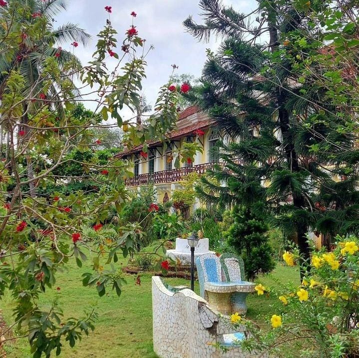 Vibrant garden at Braganza House showcasing lush greenery, creating a serene and inviting atmosphere.