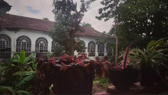 Interior view of Braganza House, showcasing an arrangement of potted plants that enhance the elegance and warmth of the space.